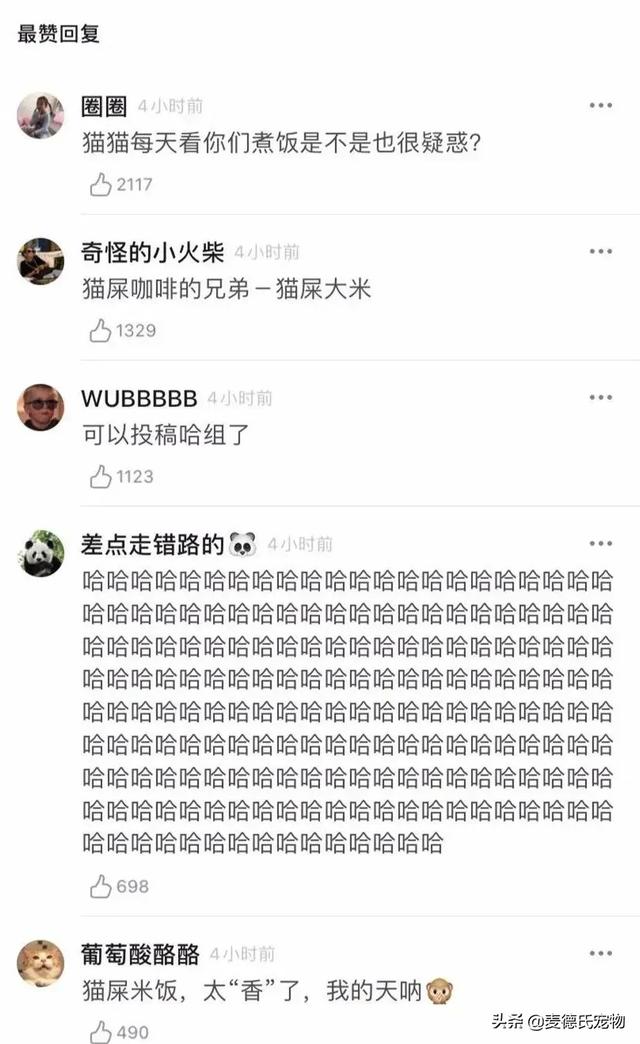 猫原来去猫砂盆现在到处尿（我家米桶被猫当猫砂盆了）(6)