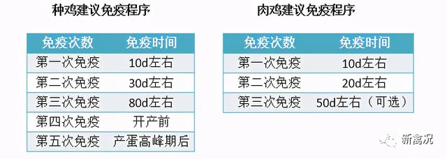小鸡开口料破碎机