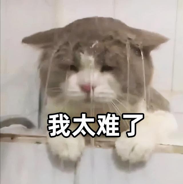 洗涤剂