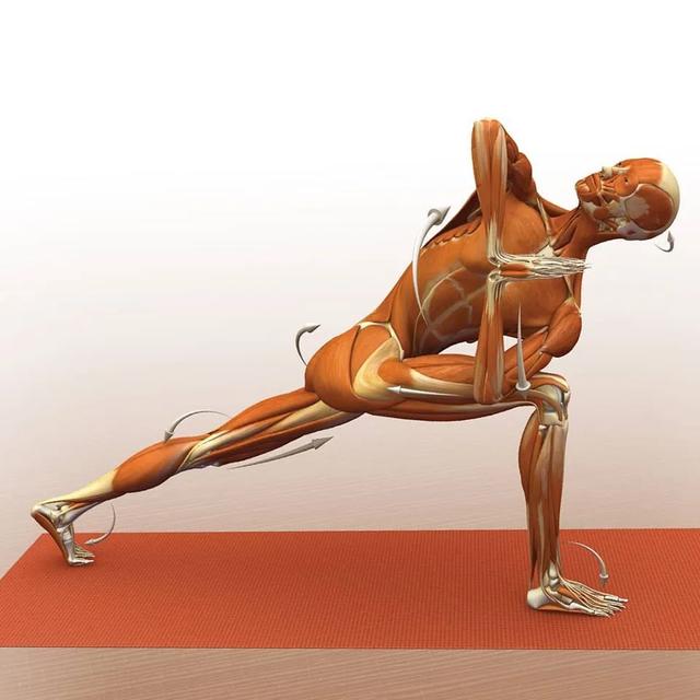 下犬式19,上犬式20,蝗虫式21,弓式22,骆驼式23,小桥式24,反斜板式25