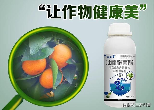 吡唑醚菌酯为什么要加芸苔素内酯？还有10个“黄金搭档”你知道吗