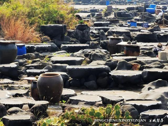 海南海花岛在哪里