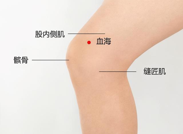 常吃两种“长寿米”，按摩三个穴位，健脾祛湿又养胃