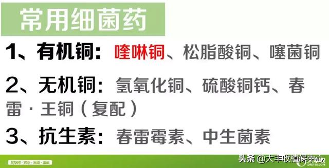 牛逼！喹啉铜杀菌谱广还安全！这样用效果最好！