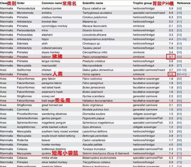 消化系统不好怎么办