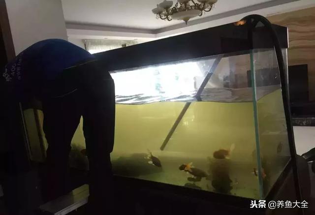 过滤机多久保养