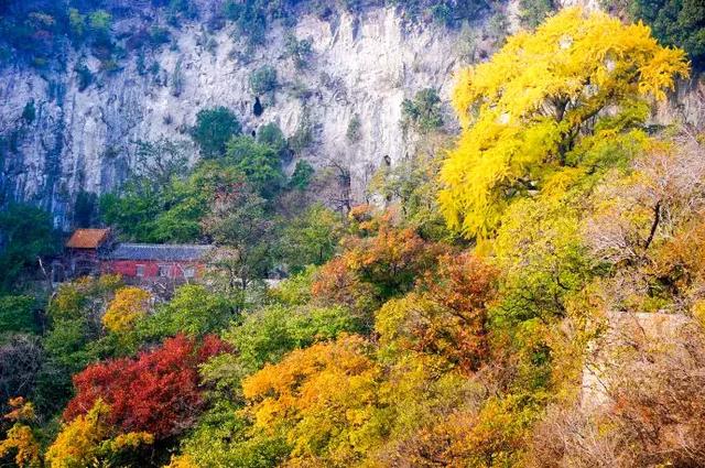 博山必去的旅遊景點_金秋十月,重陽登高~博山這些最美登高地別錯過!