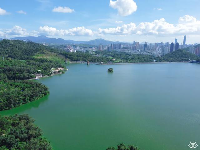 深圳最美绿道，绝了