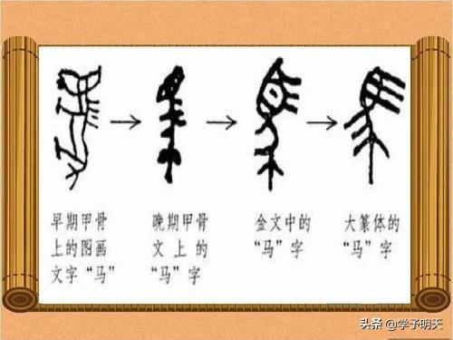 蜘的词语二个字