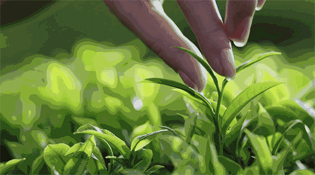 手背皮肤就长鸡皮一样