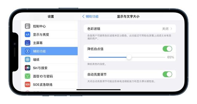 iPhone 上的辅助功能，可能是你遗忘的宝藏-第11张图片-9158手机教程网