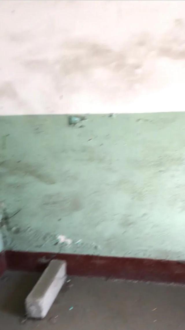 文章图片23