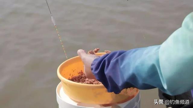 鲫鱼养殖技术视频教程 冬钓鲫鱼，重在打窝聚鱼，老钓友告诉你如何打窝、养窝和补窝