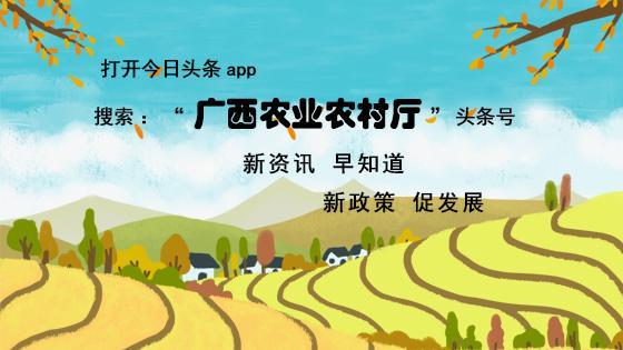 sue破碎机筛网