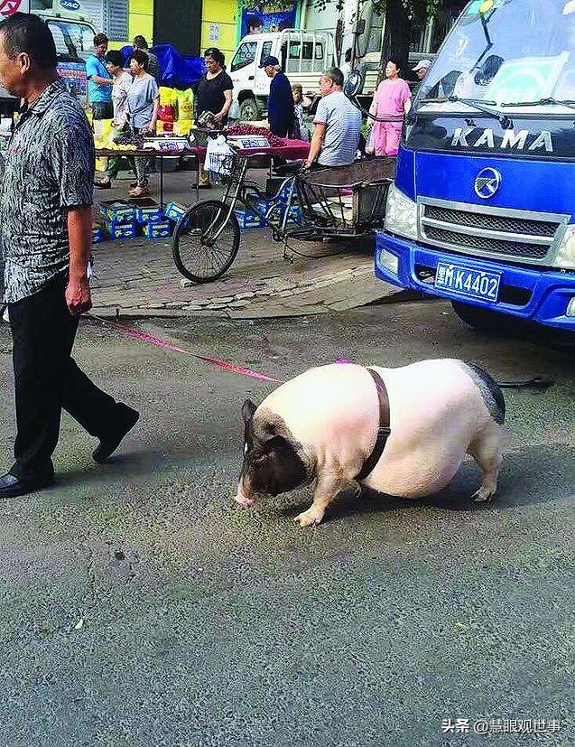 《侯卫东官场笔记》中遇人不淑的池铭