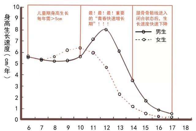 13岁男孩160cm，骨骺线快要闭合，提醒：出现2个特征前，抓紧补救