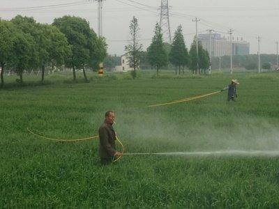 肟菌酯对白粉病、叶斑病有特效，加上这一种杀菌剂，效果提高3倍2