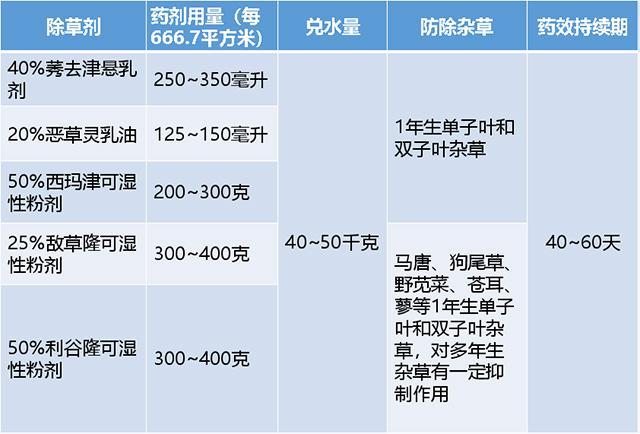 五分钟农技课：甘蔗除草，如何选药？4