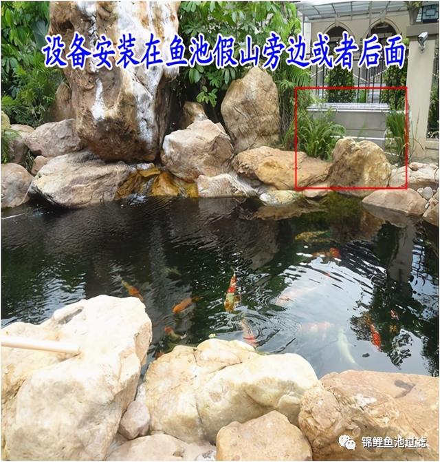 鱼池过滤机怎么用