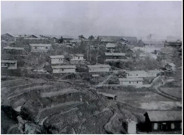 2019长沙药用机械展