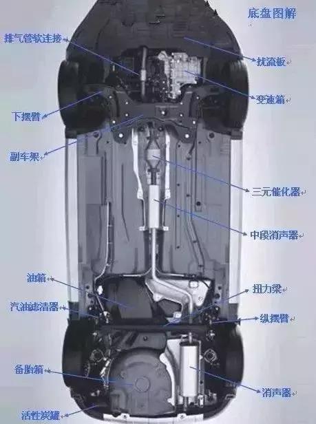 发动机舱进猫怎么办(猫进发动机舱有损害吗)