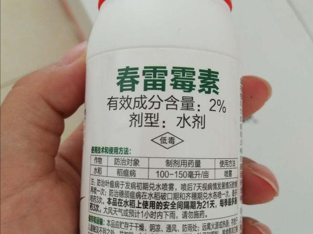 农用链霉素禁用以后，春雷霉素值得种植户考虑2