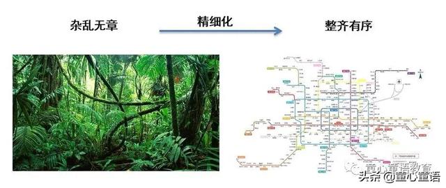 「童心童语分享」蒙台梭利教育与表观遗传学原来有这么密切的联系
