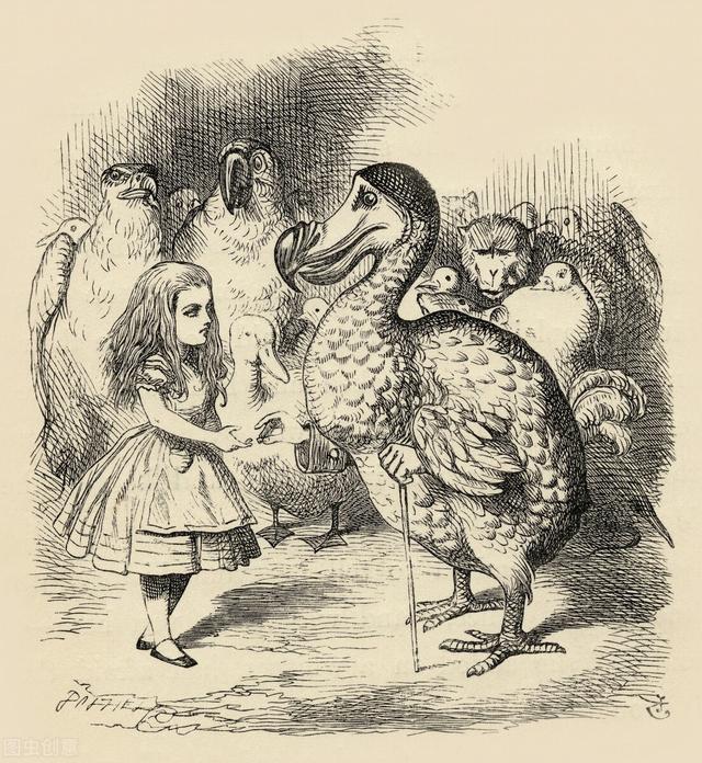 渡渡鸟复活了作文，它出现在《爱丽丝梦游仙境》，却被怀疑不是真实存在的