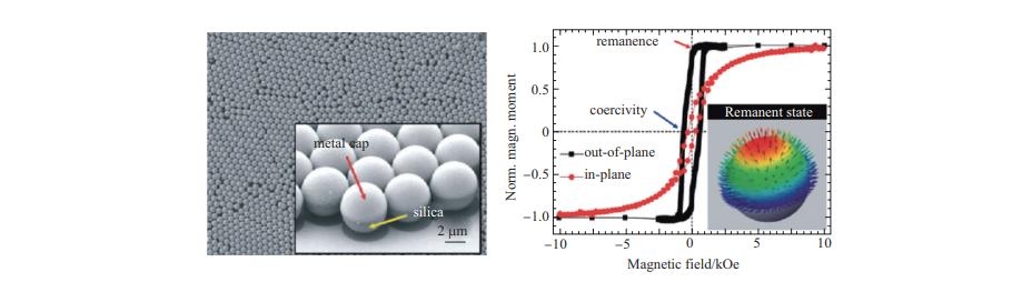 面向靶向医疗的微纳米机器人