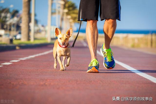 为什么有些人不易得癌？坦白说，他们可能有六个特点