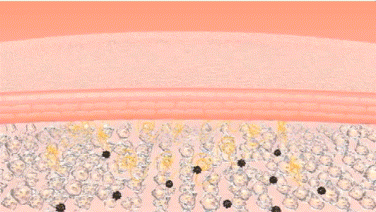 歌歌兰妮沙龙香水身体乳