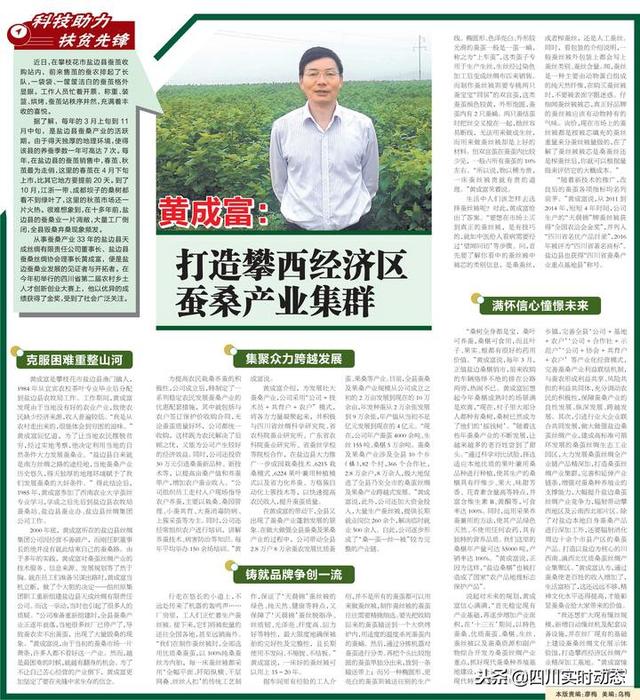 攀枝花破碎机输送带的简单介绍