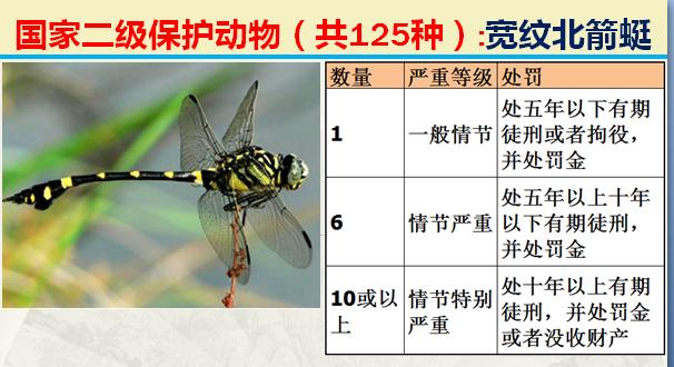 国家二级保护动物