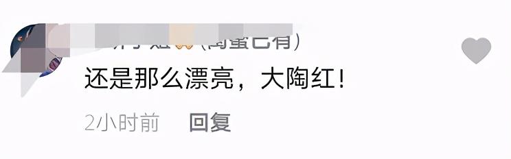 大陶红:51岁陶红晒近照！超大珍珠戒指吸晴，婚姻状况成谜，疑单身至今