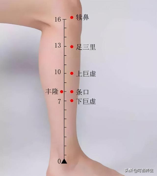 长寿秘诀——足三里