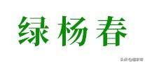 中华老字号茶品牌，快看看有你家乡的吗？