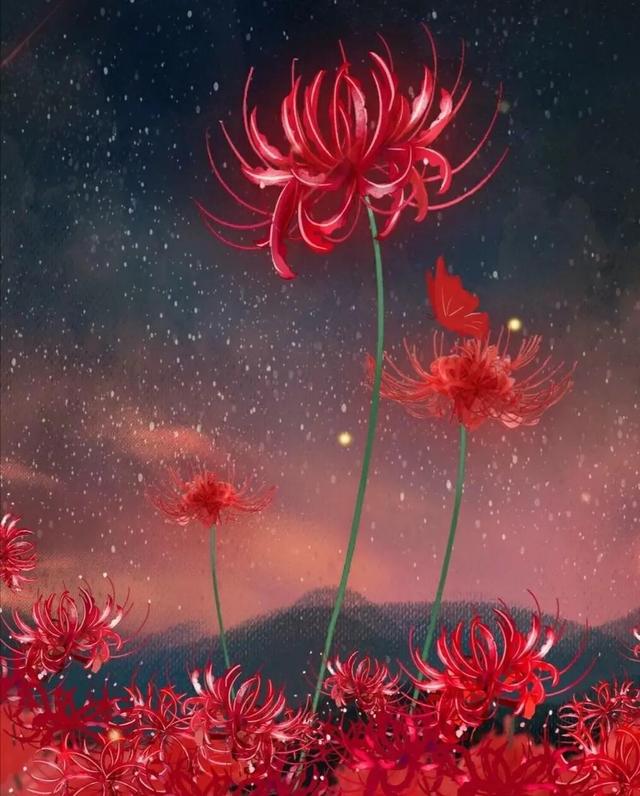 彼岸花开的意思是什么彼岸花背后凄美的传说故事