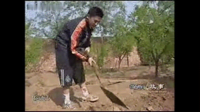 马龙女朋友:国乒不仅人均喜剧人，更是痴情汉，从刘国梁到马龙深情又专情