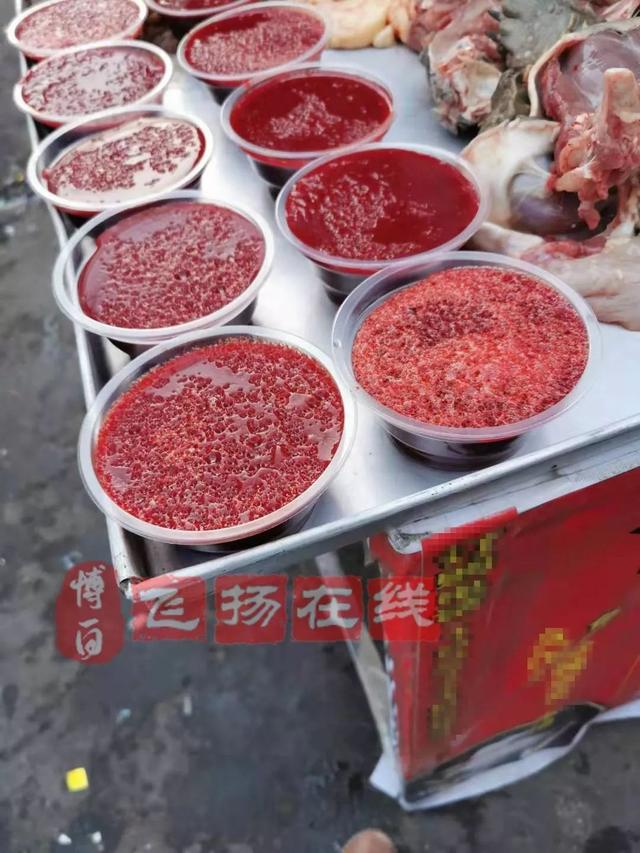 贵阳鳄龟交易市场（博白南城市场出现鳄龟肉）(3)