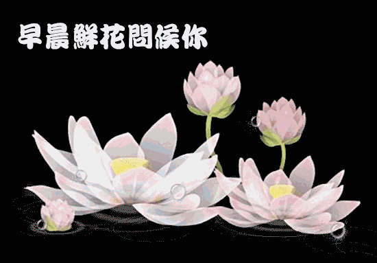 周末愉快高情商回复（周末高情商的问候）
