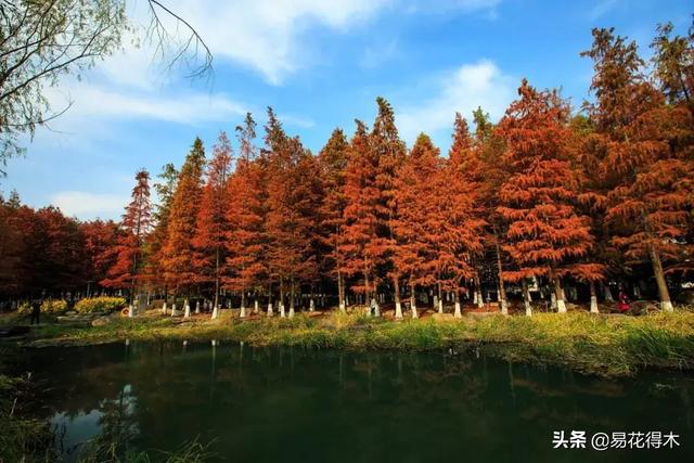 勐腊螺旋洗砂机批发