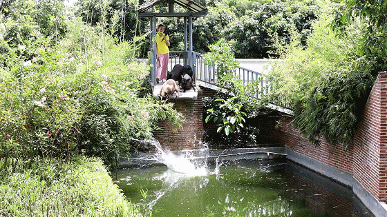 深圳机械展可以带小孩