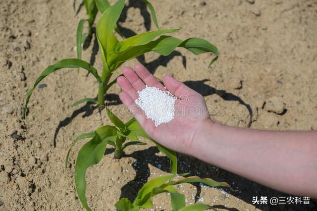 失控了！尿素、氯化钾、硫酸钾、草甘膦大涨价！咋回事