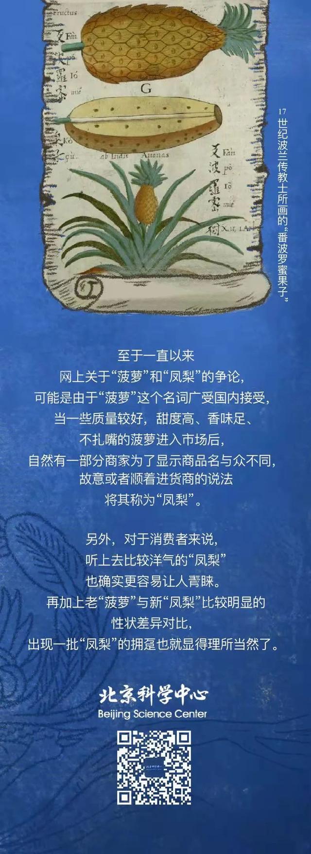 凤梨是什么水果