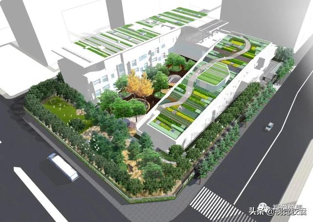 2021中国最美幼儿园，这样的环境中成长，一定充满真善美