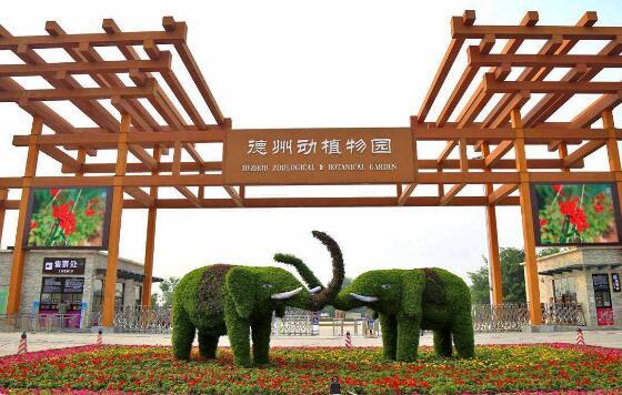 德州市有什么旅游景点（德州十大好玩的旅游地）(2)