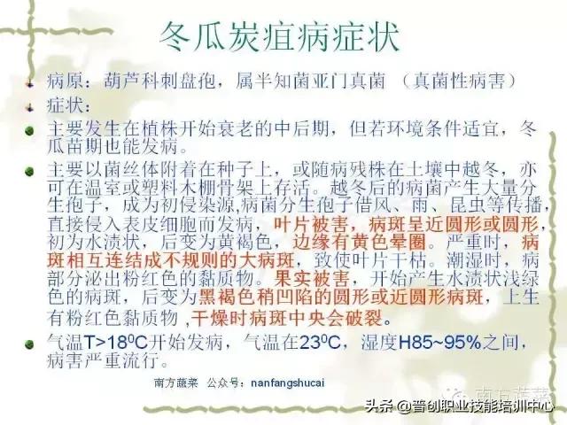 【作物病害】冬瓜常见病害识别及防治大全（推荐收藏）30