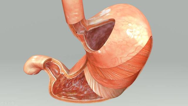 八大伤胃习惯，你究竟占了几个？这些细节看似不起眼，却很养胃