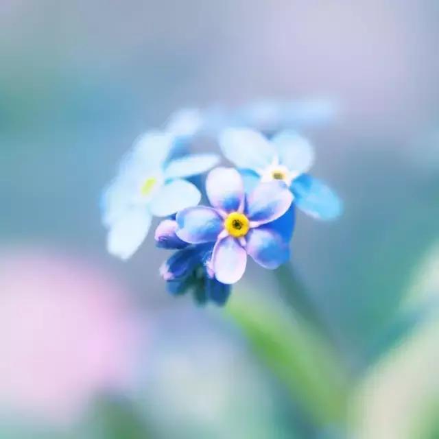 晚安短语181121：孤独不是与生俱来的，而是让你失望的人太多了