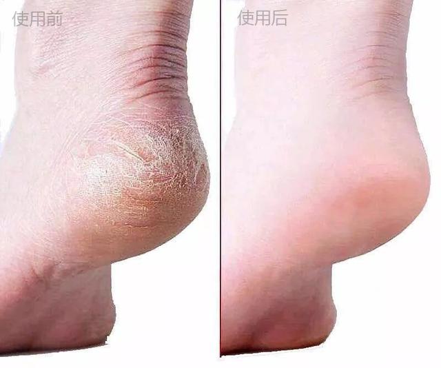 歌歌兰妮沙龙香水身体乳